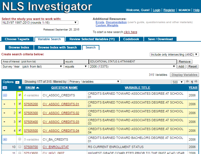 Tag Variables screenshot